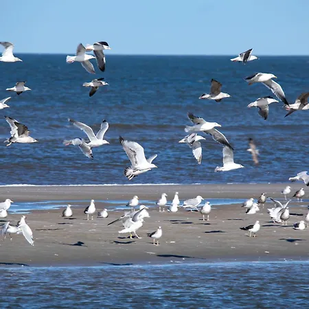 Апартаменты Appartementhaus Bracht - Merresrauschen 2